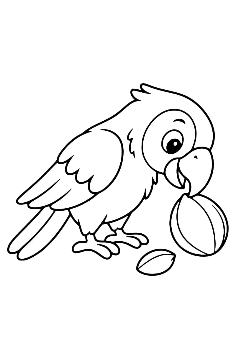 Dessin en noir et blanc d’un perroquet de profil, au bec recourbé contre une grosse graine striée, avec une petite graine devant ses pattes.