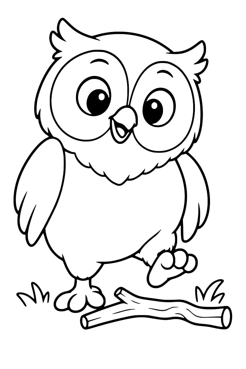 Dessin en noir et blanc d’un hibou rond, le bec ouvert et une patte levée au-dessus d’une branche, avec quelques touffes d’herbe.