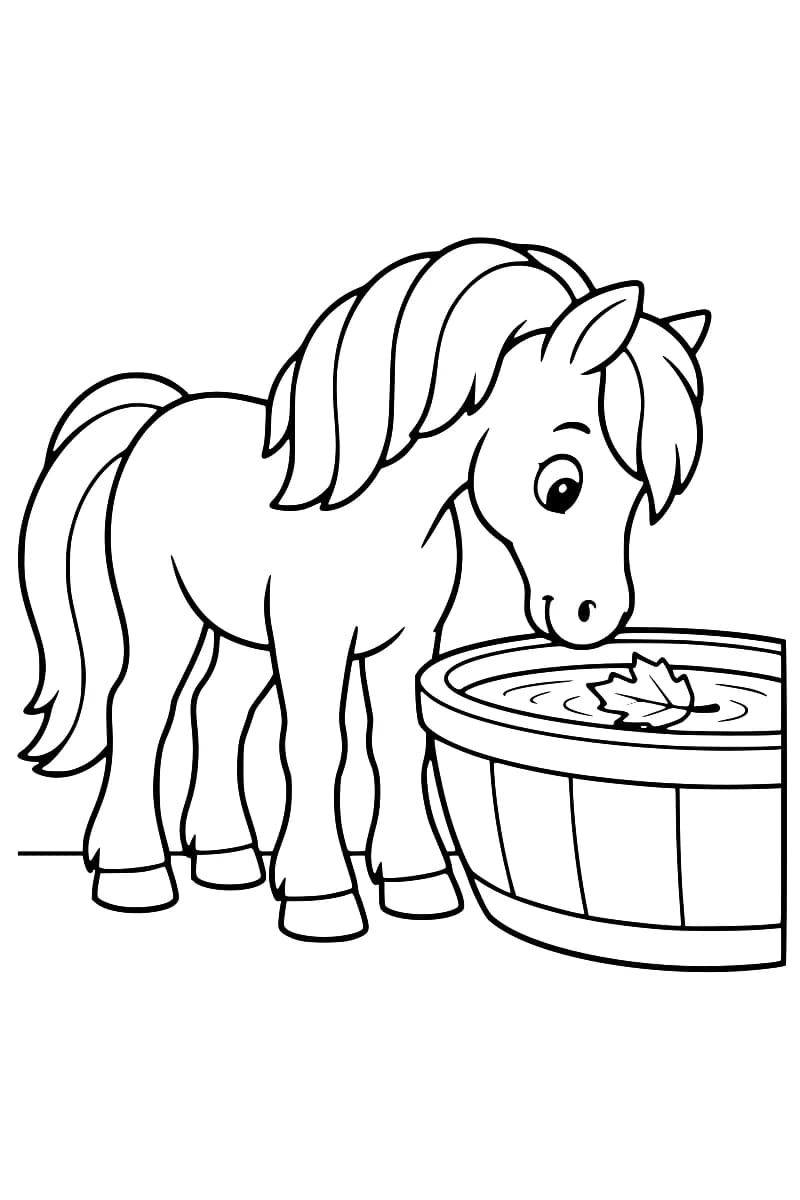 Dessin en noir et blanc d’un poney à la longue crinière, debout près d’un demi-tonneau en bois où flotte une feuille entourée de petites ondulations.