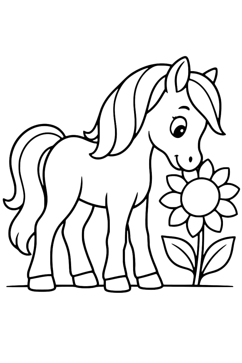 Dessin en noir et blanc d’un poney tourné vers la droite, le museau près d’un tournesol à deux feuilles.