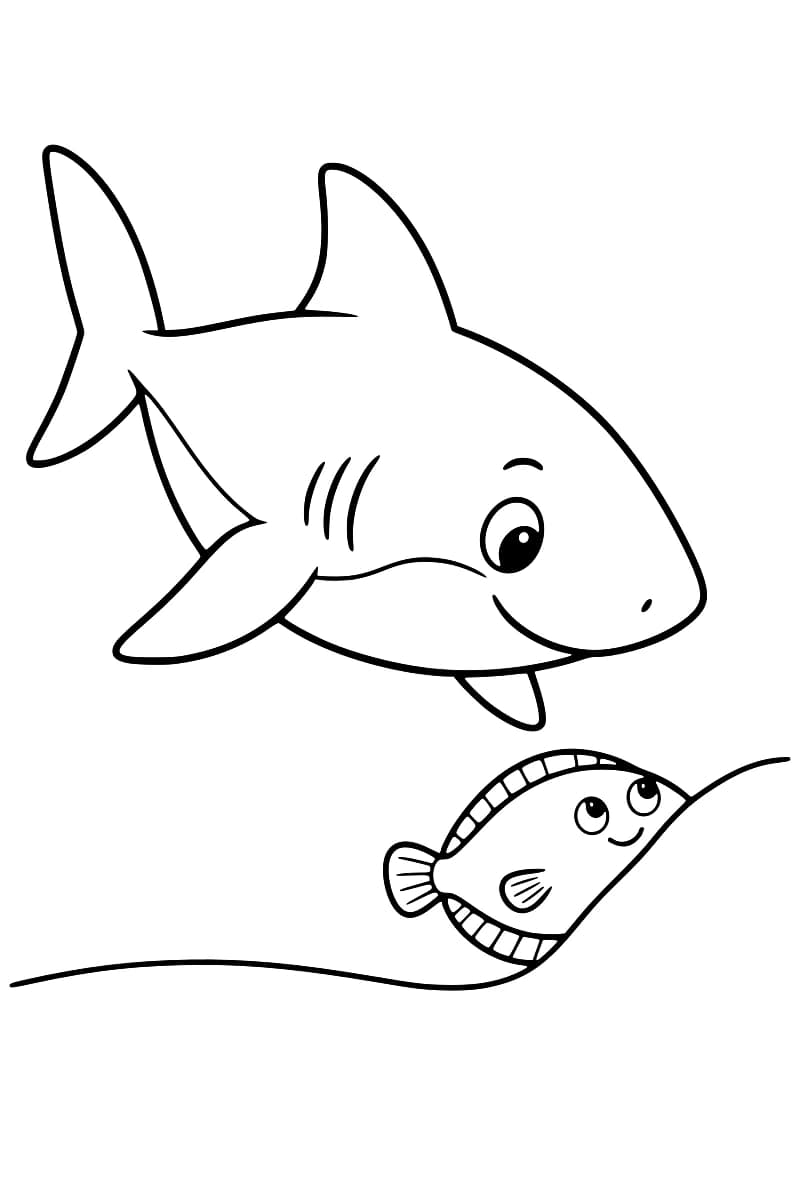 Dessin au trait noir sur fond blanc d’un grand requin souriant et d’un petit poisson plat aux yeux tournés vers lui, partiellement caché derrière une courbe représentant le fond marin.