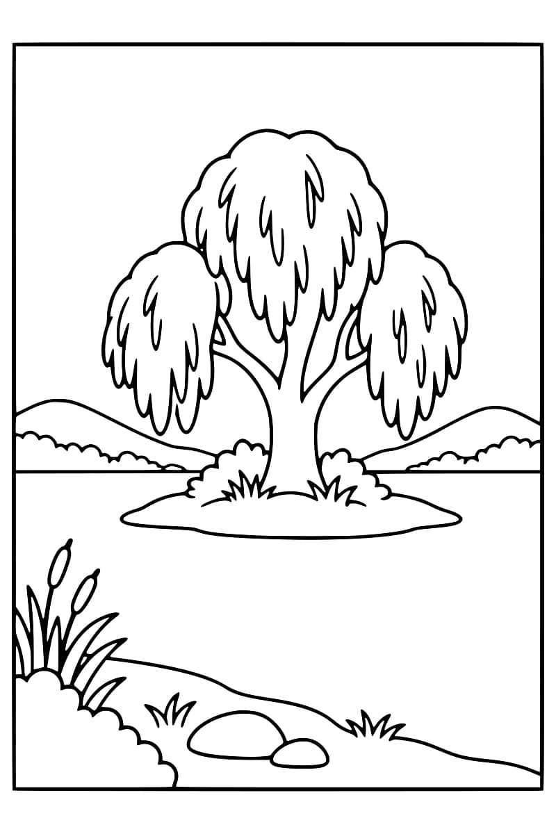 Dessin au trait noir d’un saule aux branches retombantes sur une petite île, avec des collines à l’arrière-plan et des roseaux, des herbes et deux pierres sur la rive au premier plan.