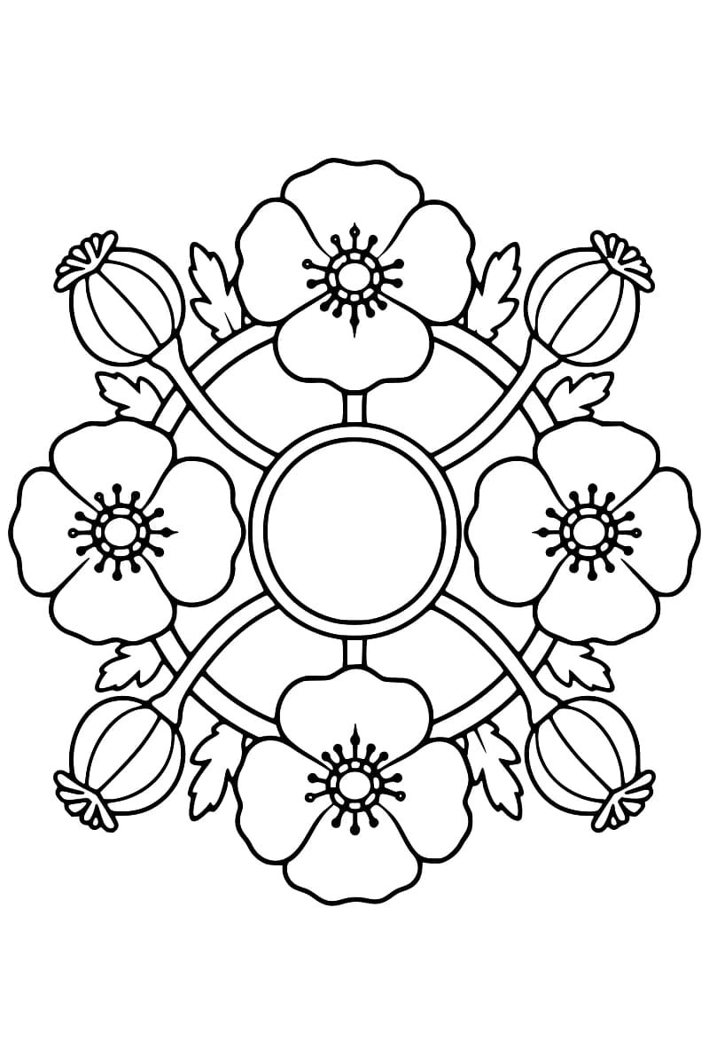 Mandala floral en noir et blanc composé de quatre grandes fleurs de coquelicot, de quatre capsules et de feuilles dentelées, reliées par des tiges courbes autour d’un cercle vide à double contour.