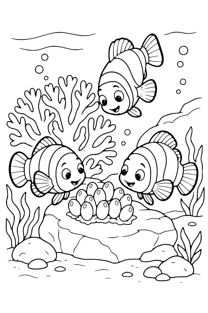 Illustration en noir et blanc de trois poissons-clowns autour d’un amas d’œufs sur un rocher, avec des coraux et des plantes aquatiques.