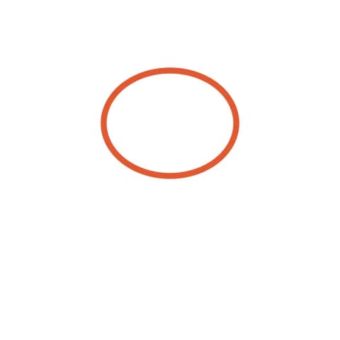 Étape 1 : Dessine un grand ovale plus large que haut, vers le haut de ta feuille, pour la tête.