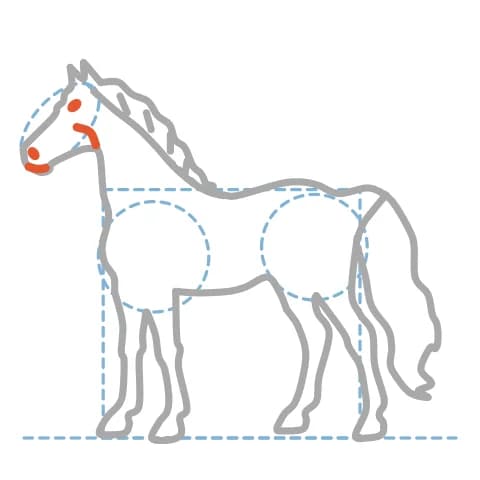 Étape 12 : Dessine un œil en amande, une narine ovale, un trait pour la bouche et une courbe pour la joue ronde.