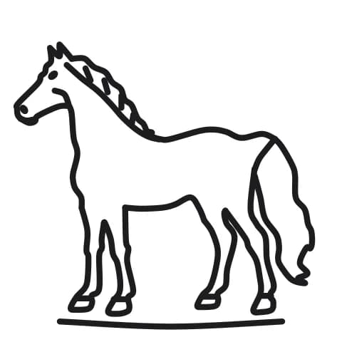 Étape 14 : Gomme les traits de construction légers, puis repasse les contours du cheval au feutre noir.