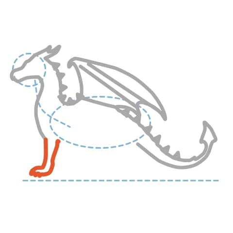 Étape 8 : Sous la poitrine, dessine la patte avant au premier plan avec des traits articulés et de petites griffes pointues.