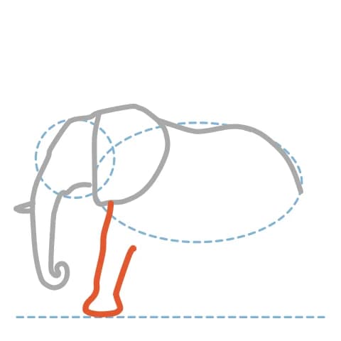 Étape 7 : Sous l’épaule, dessine la patte avant au premier plan : deux traits épais comme une colonne, terminés par une courbe pour le pied rond.
