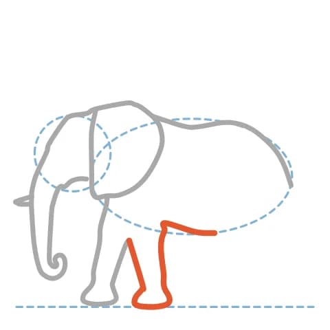 Étape 8 : Trace la courbe du ventre sous le corps, puis ajoute derrière la première patte avant une seconde patte avec un pied arrondi.