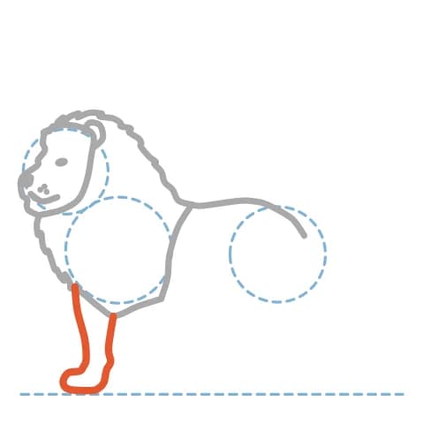 Étape 6 : Sous le poitrail, dessine la patte avant du premier plan : avant-bras épais, poignet plus étroit et large patte aux contours courbes.