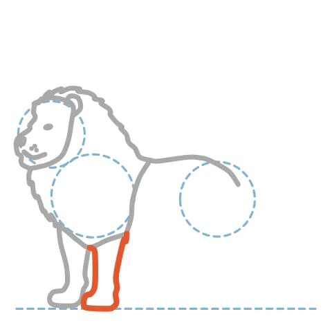 Étape 7 : Juste derrière cette patte, trace les traits de la seconde patte avant, en partie cachée par la première.