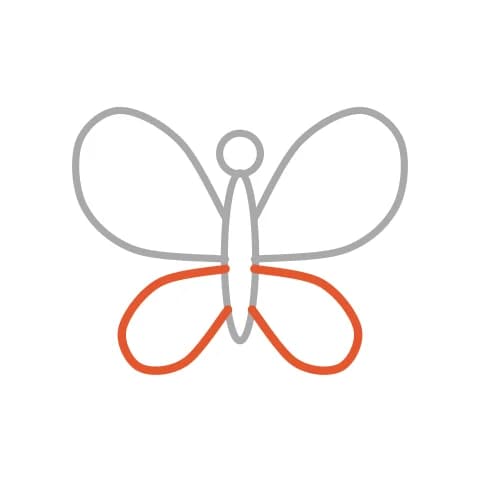 Étape 3 : Ajoute deux ailes en forme d’ovales plus petits, une de chaque côté du corps, sous les grandes ailes.