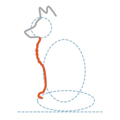 Étape 4 : Dessine le devant du cou et le poitrail avec de petites pointes de fourrure, puis prolonge cette courbe jusqu’à la patte avant.